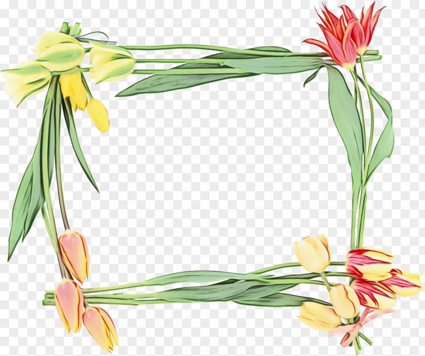 Plant Plants Flowers Background PNG