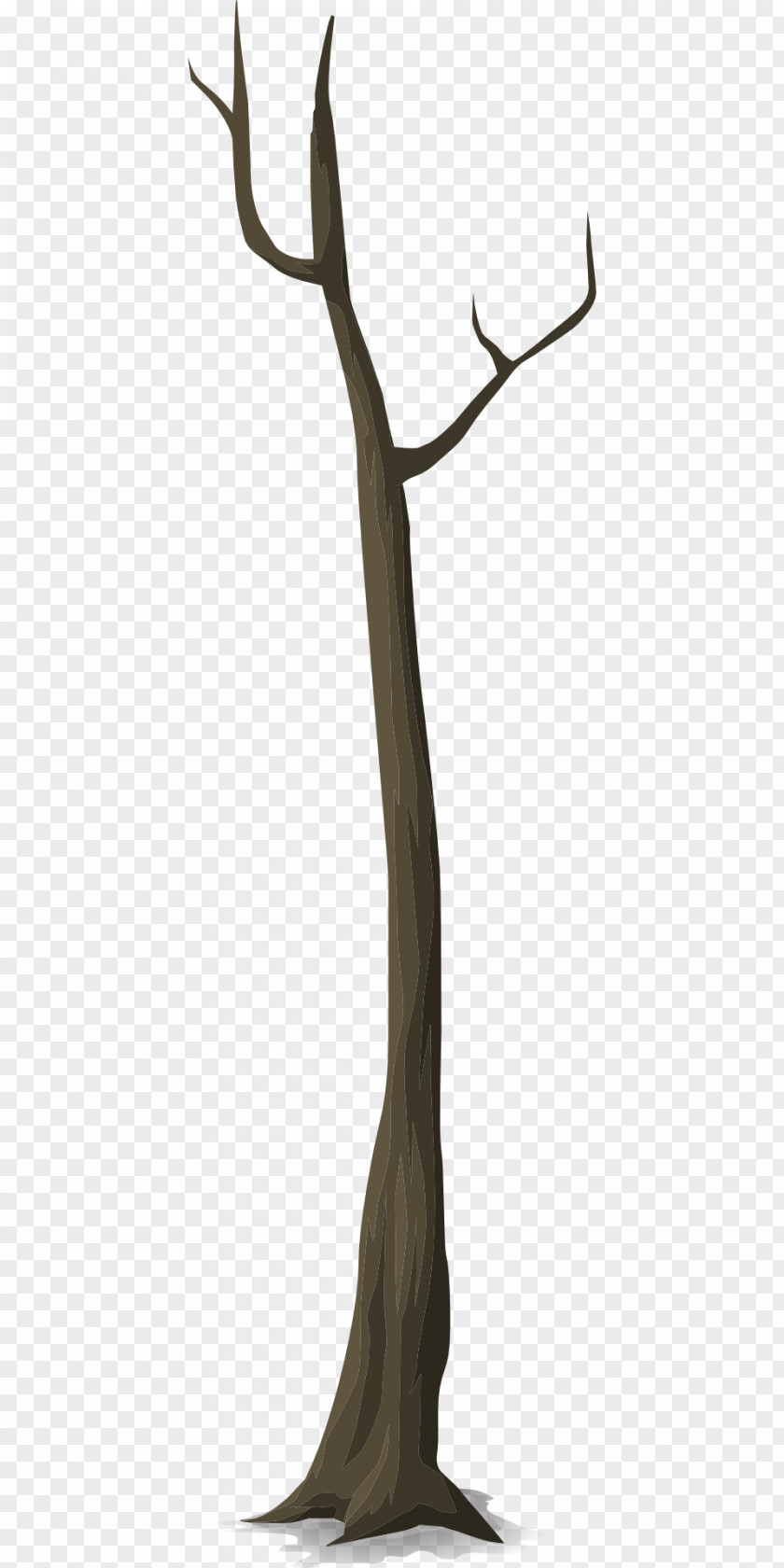 Skinny Straight Line Twig Trunk Tree Stump Snag PNG