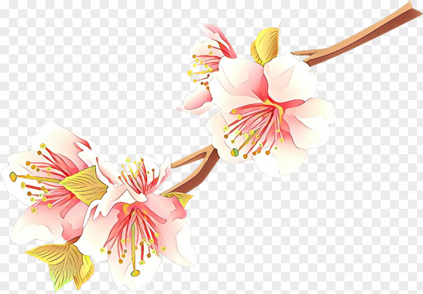 Branch Petal Cherry Blossom PNG