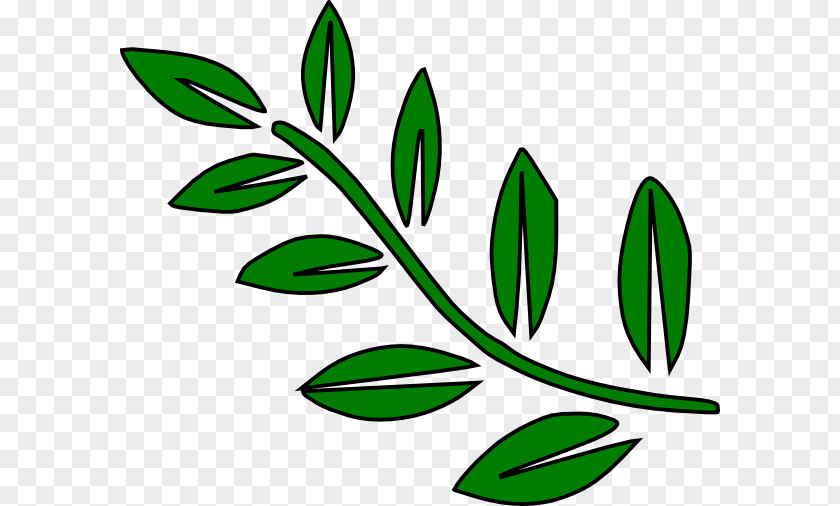 Branches Cliparts Branch Leaf Tree Clip Art PNG