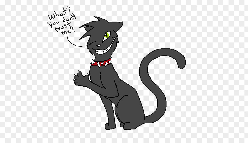 Cat Black Whiskers Dog Drawing PNG
