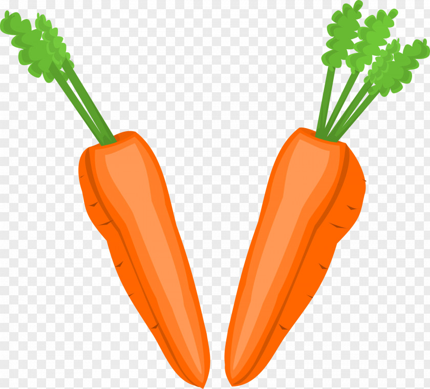 Halves Cliparts Root Vegetables Fruit Carrot Clip Art PNG