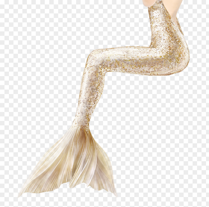 Mermaid Tail Art Fairy Tale PNG