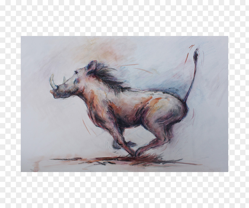 Painting Watercolor Mustang Mane Drawing PNG