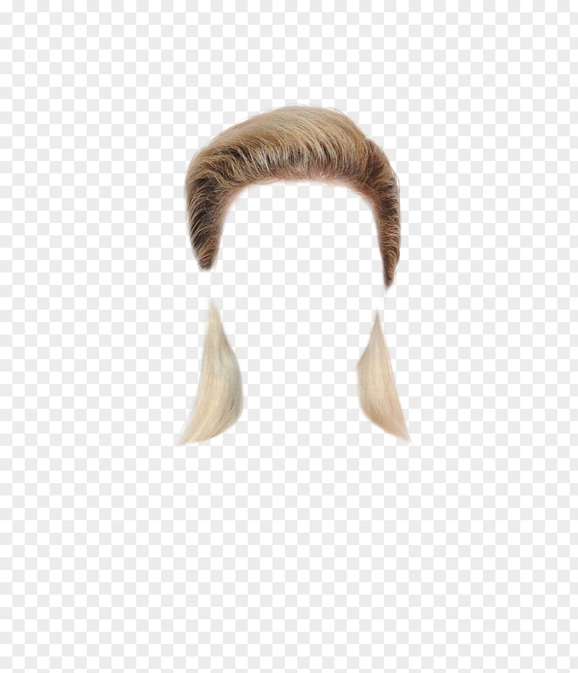 Polyvore Neck PNG