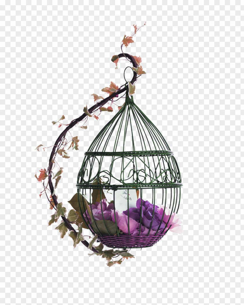Purple Fresh Bird Cage Decoration Pattern PNG