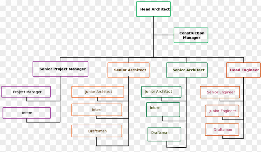 Us Executive Branch Organizational Chart Document Line Angle Product Design PNG