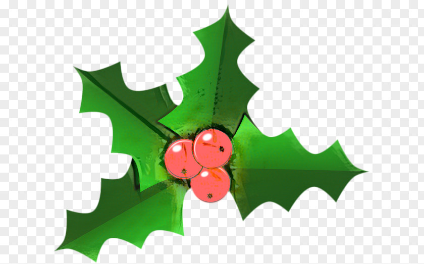 American Holly Plant Christmas Santa Claus PNG