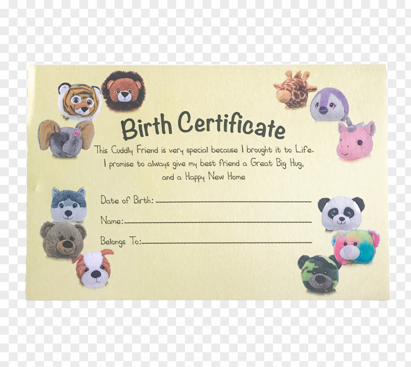 Birth Certificate Paper Greeting & Note Cards Picture Frames Font PNG