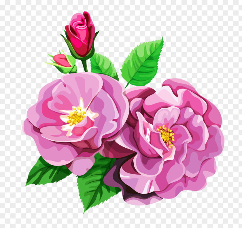 Bouquet Clipart Centifolia Roses Garden Flower Clip Art PNG