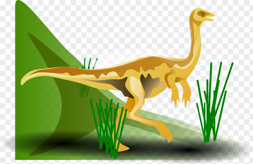 Dinosaur Gallimimus Stegosaurus Clip Art PNG