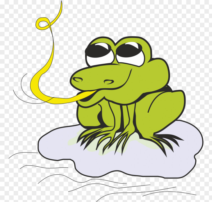 Frog Drawing Cartoon Clip Art PNG
