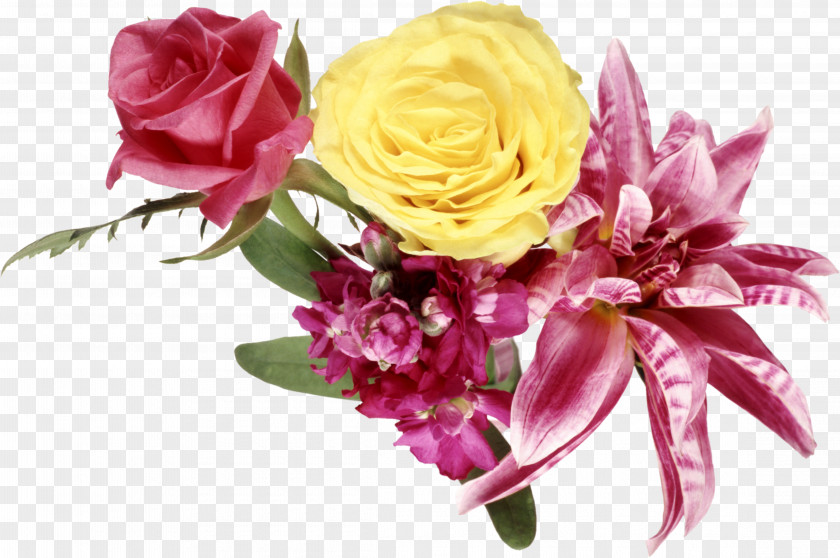 Gladiolus Flower Garden Roses PNG