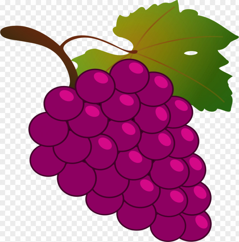 Grape Grapevines Purple Clip Art PNG