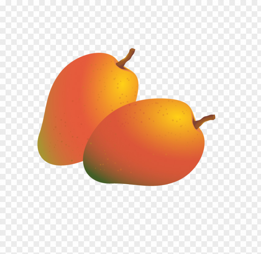 Mango Vector Fruit Auglis PNG