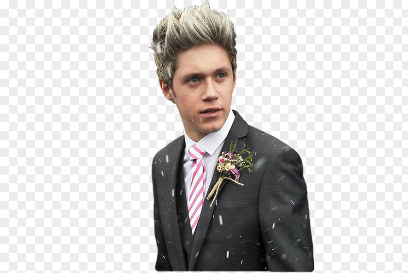 Niall Horan One Direction Song PNG