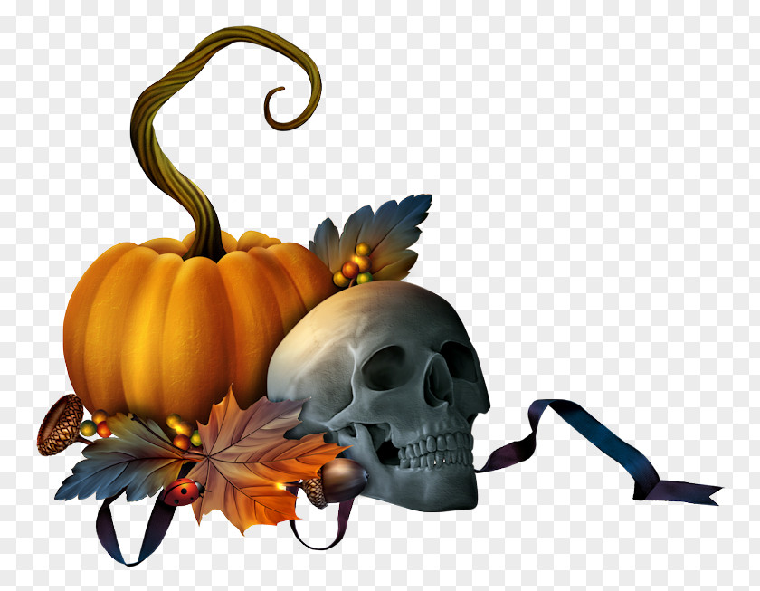 Pumpkin Clip Art Halloween Decorative Borders Jack-o'-lantern PNG