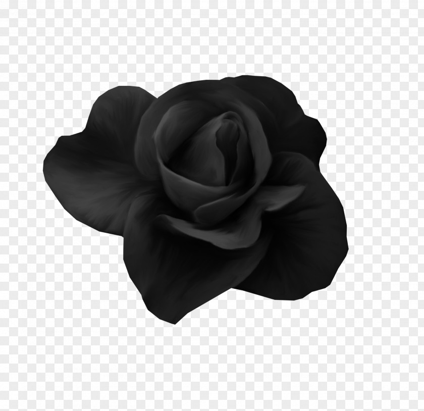 Black,rose Beach Rose Black PNG