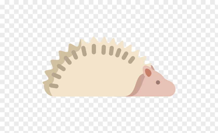 Hedgehog Shrew Computer Mouse PNG