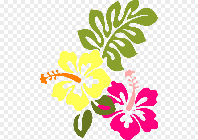 Multi Vector Hawaiian Hibiscus Yellow Clip Art PNG