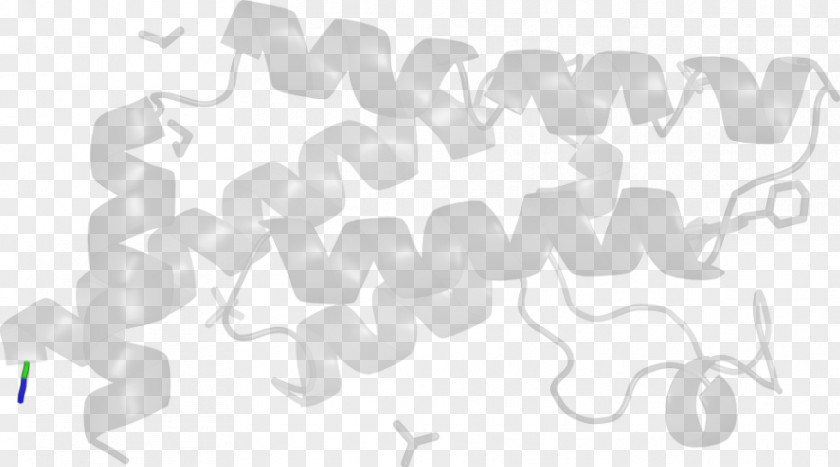 Mycoplasma White Line PNG
