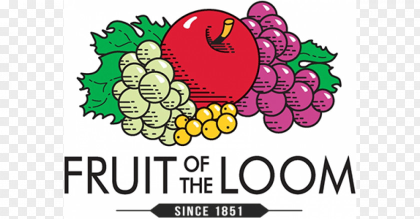 Fruit Of The Loom T-shirt Business Cuff PNG