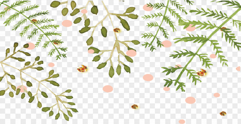 GOLD DOTS The Hamptons Flower Gold Floral Design PNG