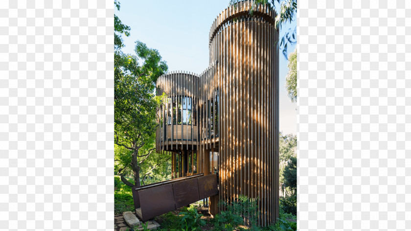 House Malan Vorster Architecture Interior Design Tree Building PNG