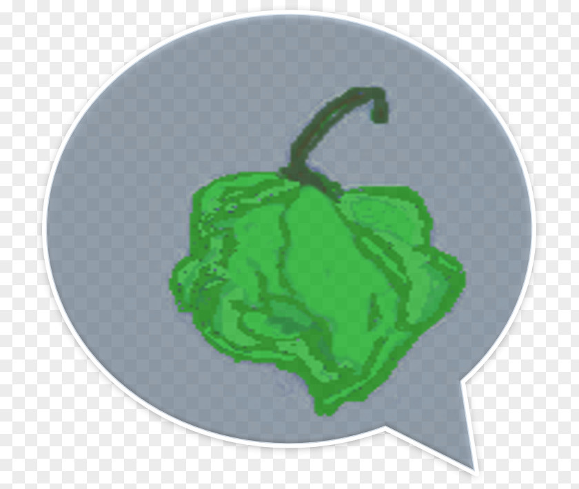 Leaf Green PNG