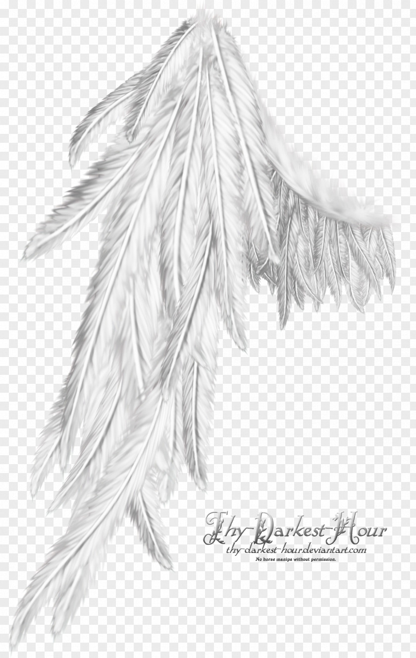 Wings Angel Drawing Computer Software PNG