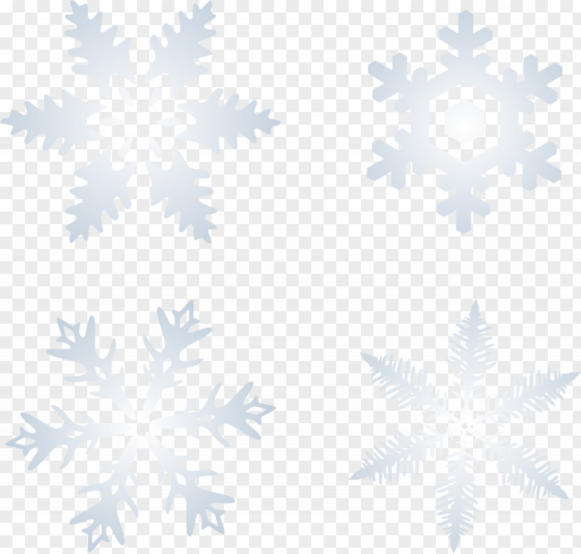 Winter Snow Snowflakes Vector Blizzard Snowflake PNG