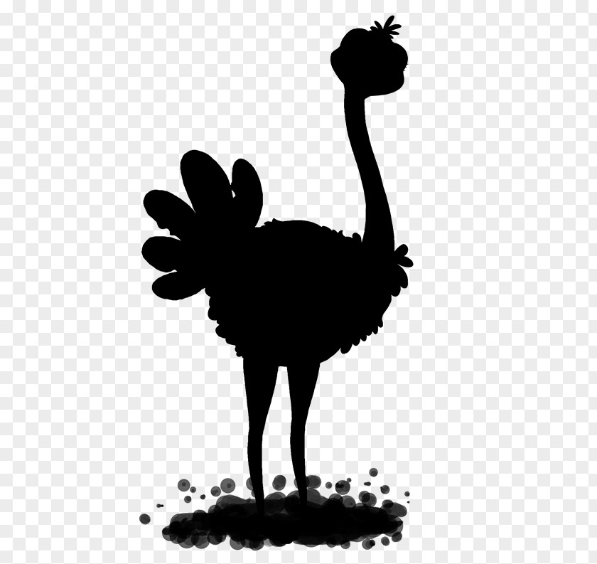 Common Ostrich Chicken Emu Bird Rooster PNG