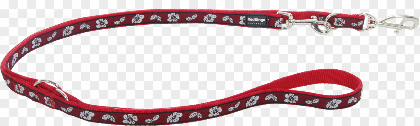 Dog Clothing Accessories Dingo Collar Red PNG