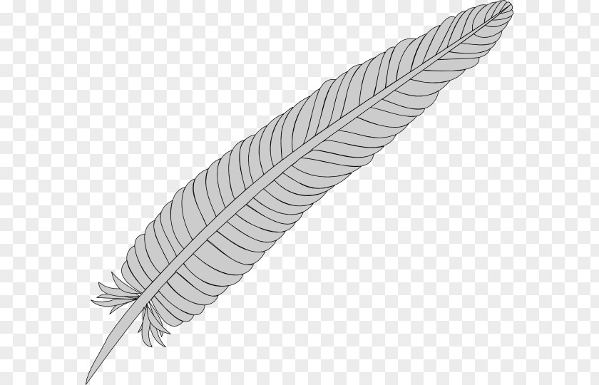 Feather Cliparts Clip Art PNG