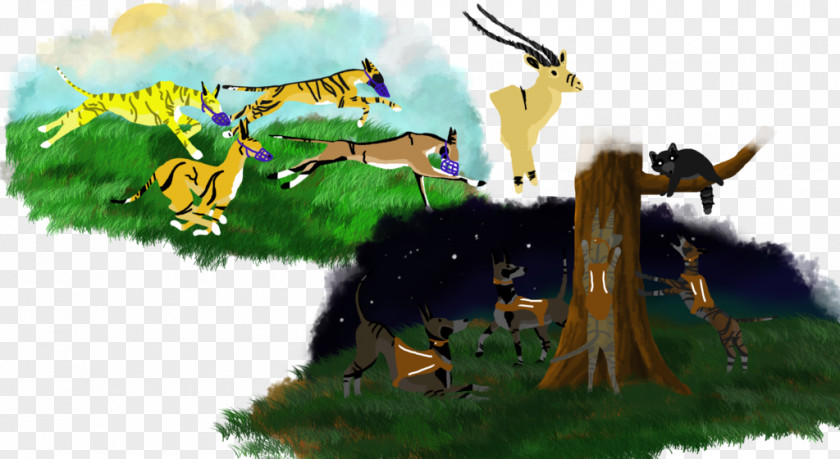 Horse Wildlife Desktop Wallpaper Mammal PNG