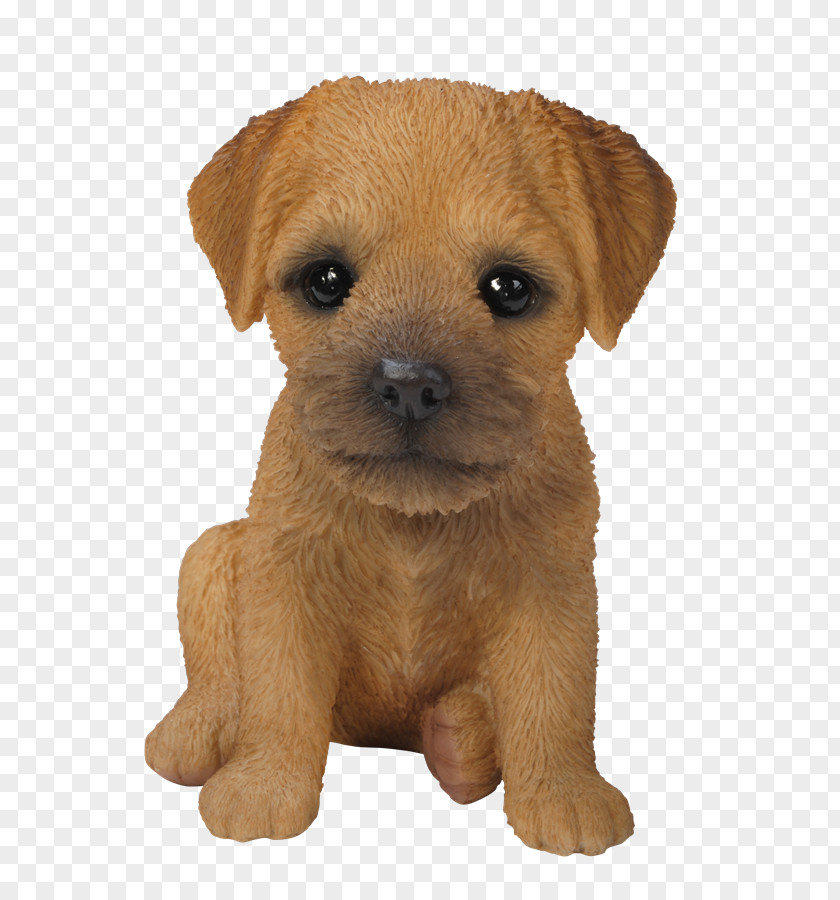 Puppy Border Terrier Yorkshire Airedale French Bulldog PNG