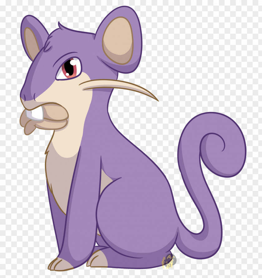 Rat Whiskers Illustration Cat Dog PNG