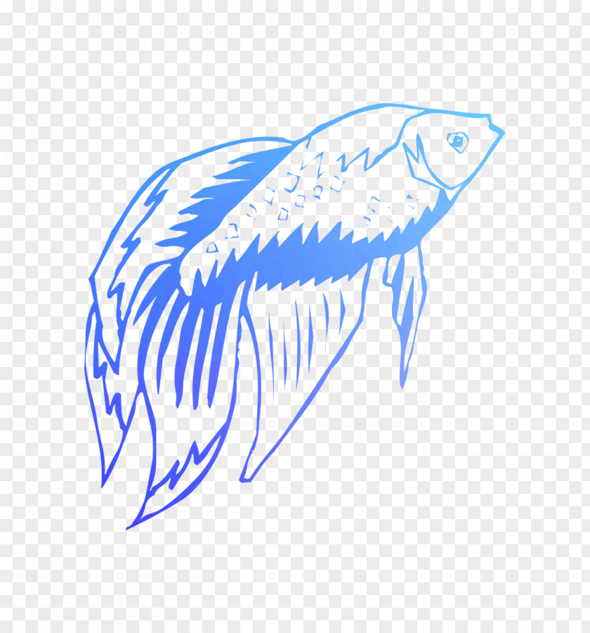 Shark Clip Art Illustration Drawing /m/02csf PNG