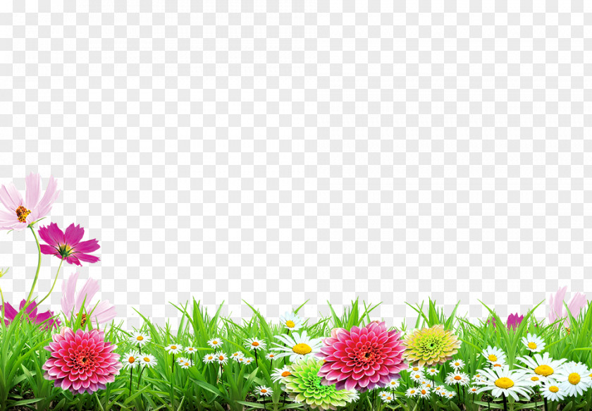 Spring Background Poster PNG
