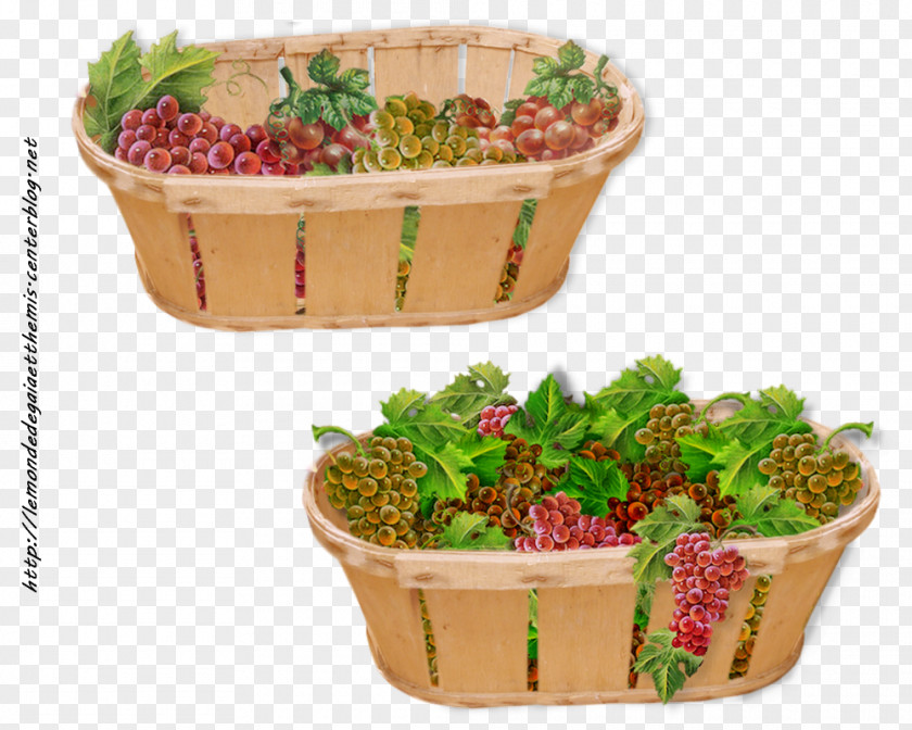 Themis Flowerpot Plastic Herb Superfood Basket PNG