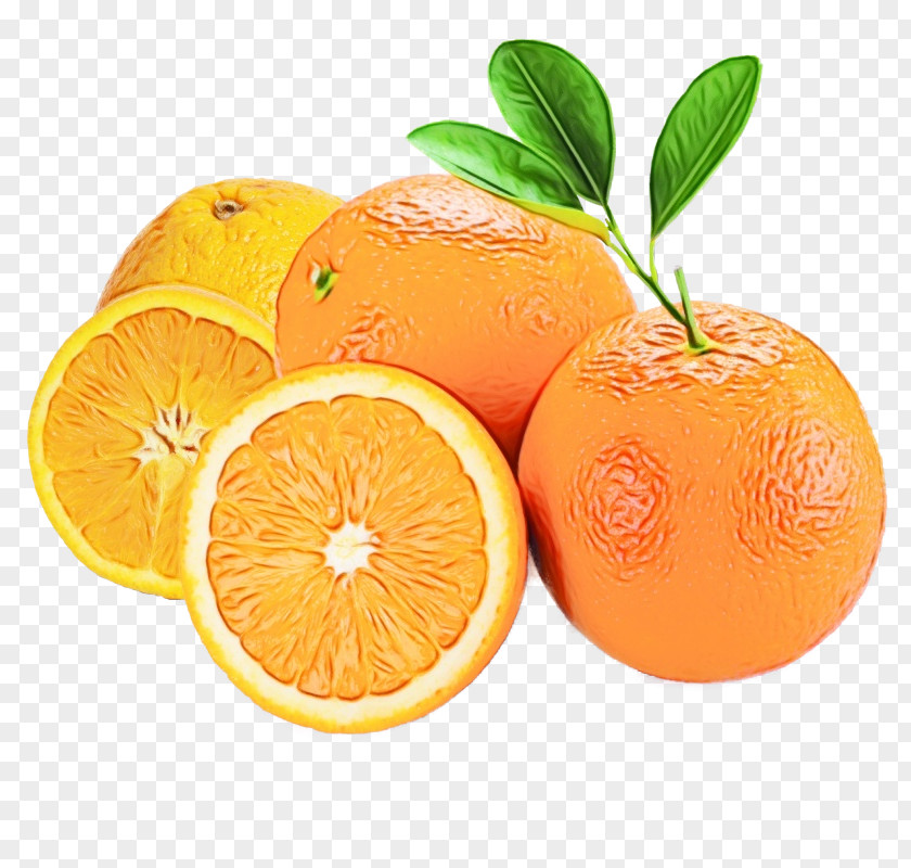 Clementine Valencia Orange PNG