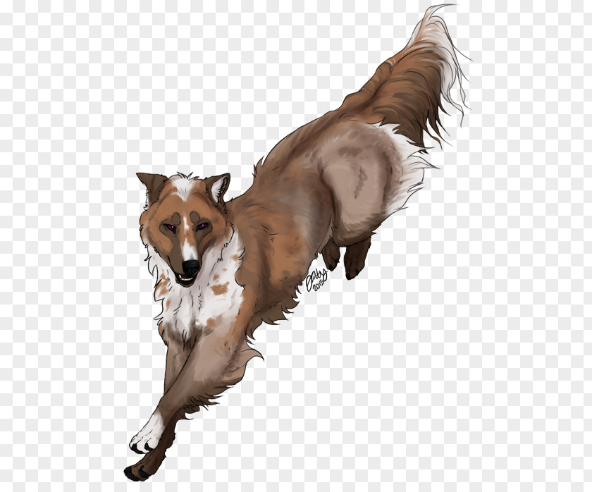 Dog Breed Fur Wildlife PNG