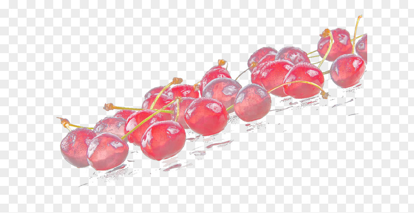 Fruit In Water Cranberry PNG