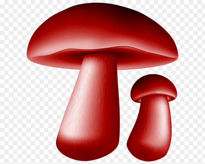 Mushroom Red Agaric Edible Material Property PNG