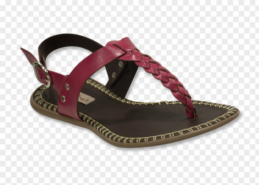 Sandal Shoe PNG