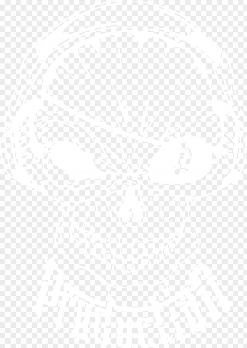 United States Color White Business PNG