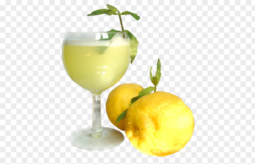 A Glass Of Juice Orange Cocktail Smoothie Drink PNG