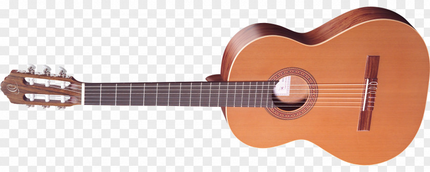 Amancio Ortega Acoustic Guitar Musical Instruments Cavaquinho Plucked String Instrument PNG