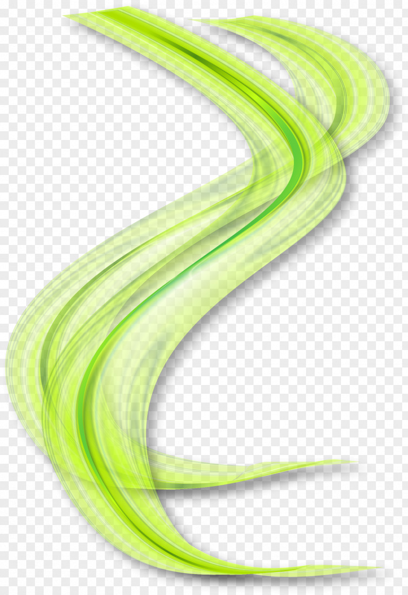 Design Green PNG