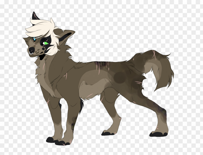 Dog Wolfdog Horse Cat Canidae PNG